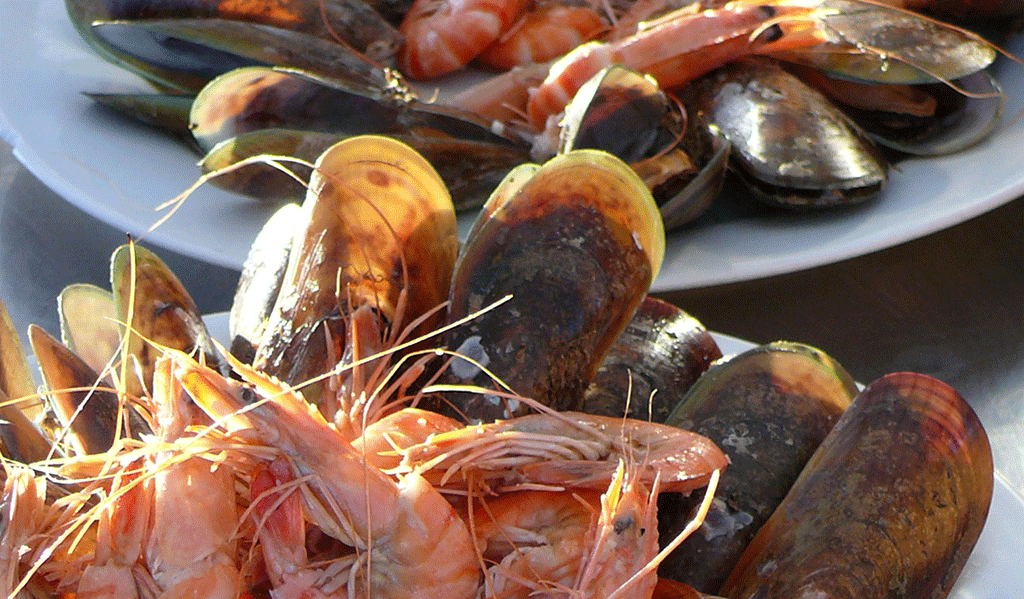 starter from menu on darryl's dinner cruise paihia, bay of islands