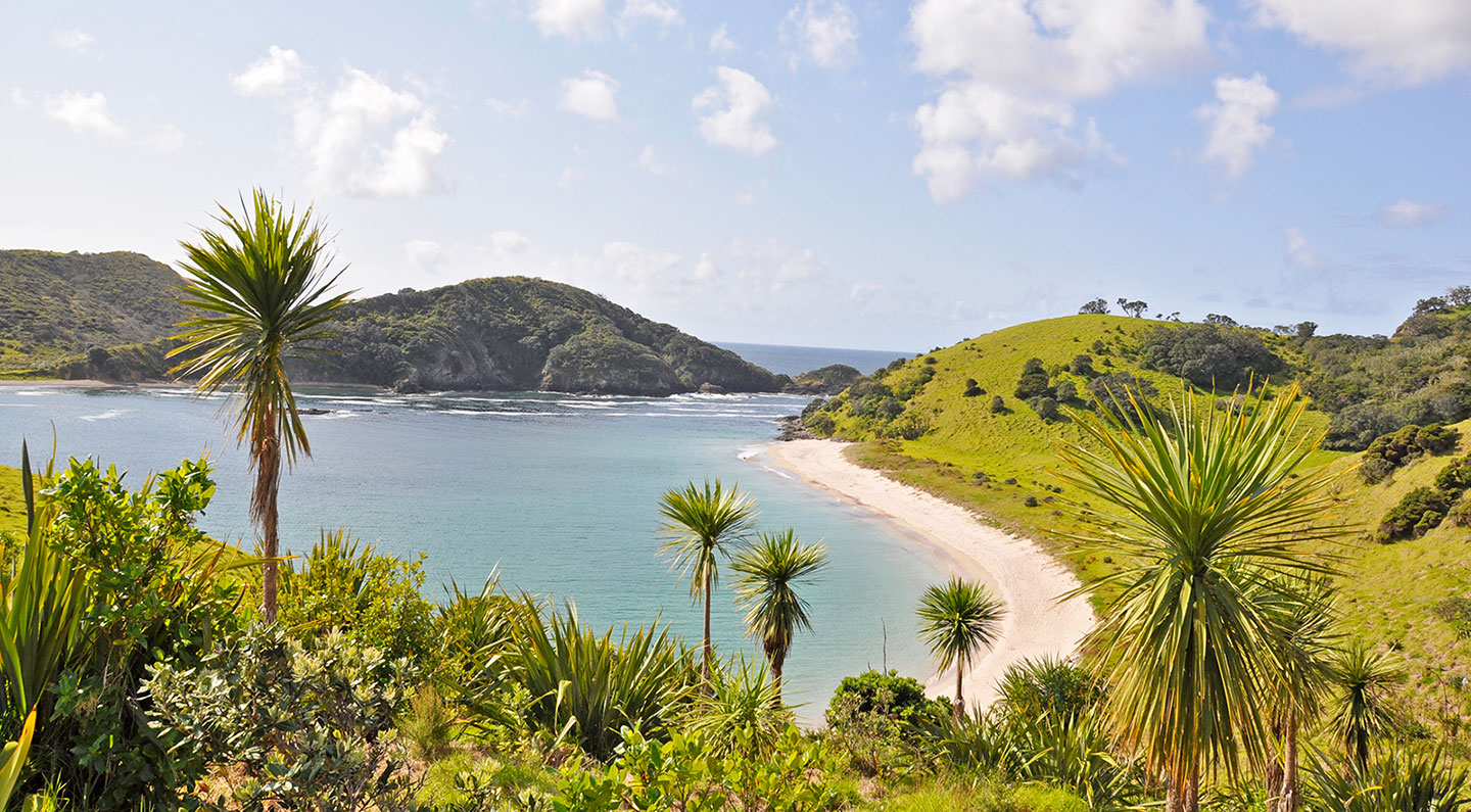 Explore The Bay of Islands Darryl's Dinner Cruise